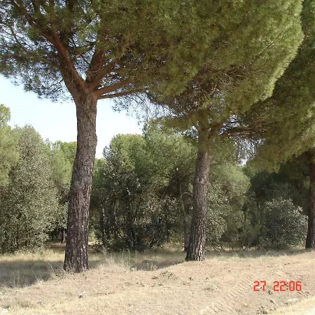 Casa Ana *