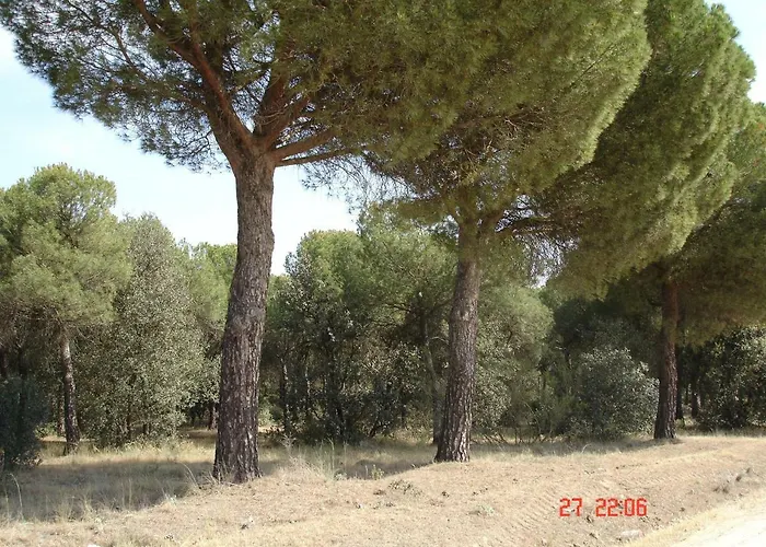 Casa Ana *